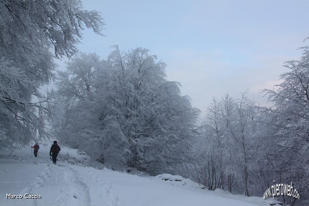 16_verso Valcava.JPG